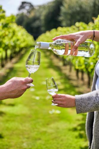 Llanerch Vineyard Hotel - image 11