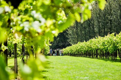 Llanerch Vineyard Hotel - image 9