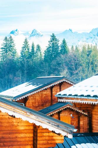 Résidence Néméa Les Chalets du Bois de Champelle - image 9