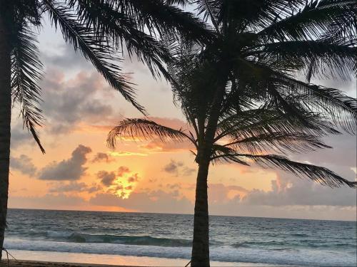 Treehouse Apartment at La Lodge at Long Bay in Corn Island