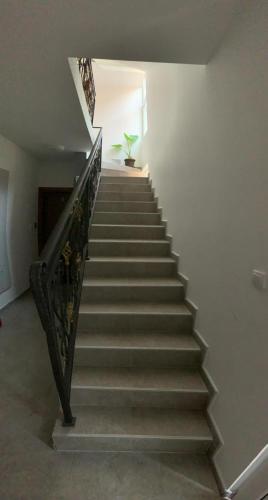 Apartmani Gaga photo