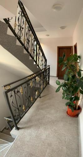 Apartmani Gaga photo