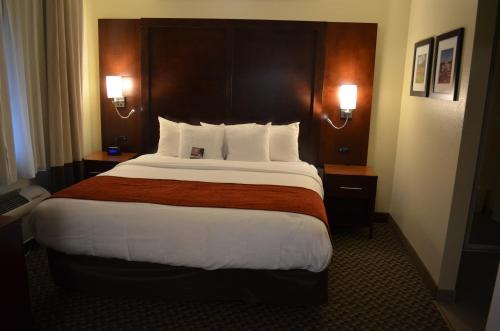 Quality Inn near Six Flags Discovery Kingdom-Napa Valley - image 9