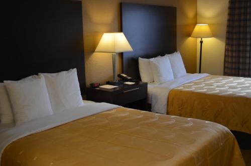 Quality Inn near Six Flags Discovery Kingdom-Napa Valley - image 6