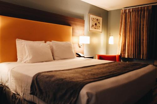 King Room (Remodeled) - Non-Smoking
