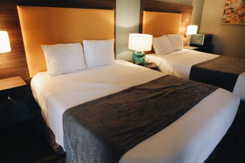 Two Double Beds (Remodeled) - Non-Smoking
