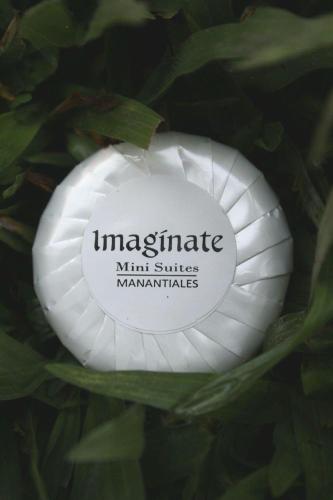 Imaginate in Manantiales