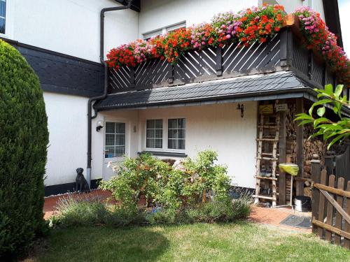 ทางเข้า, Ferienwohnungen Luge - Winterberg in ซึสเชิน