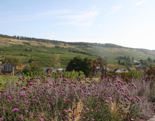 Ferienwohnung Weinbergblick