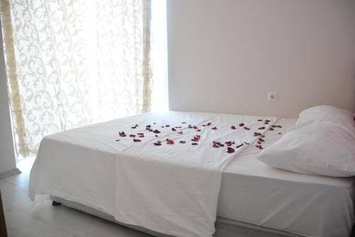 Acar Apart Otel 3 In Antalya City Antalya City Antalya