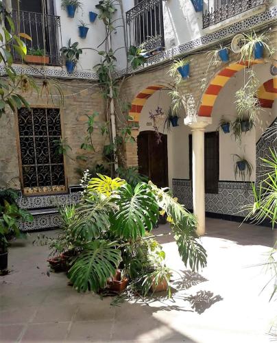  AP Abderraman I Cordoba, Ferienwohnung in Córdoba