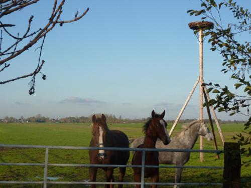 Boerderij 