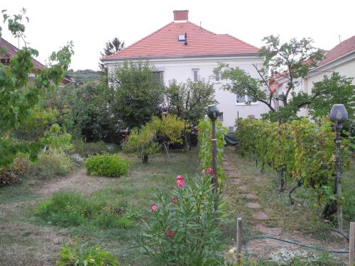  Apartment Uni-Nähe in Pécs