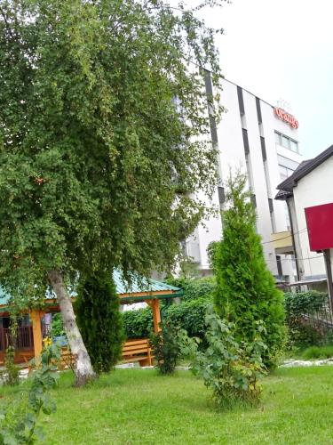 Orange Hotel - image 2