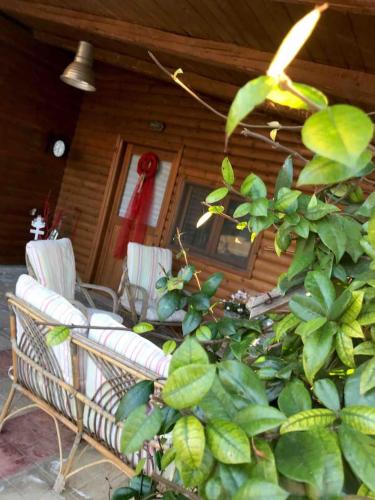 Hotel in Agía Kyriakí