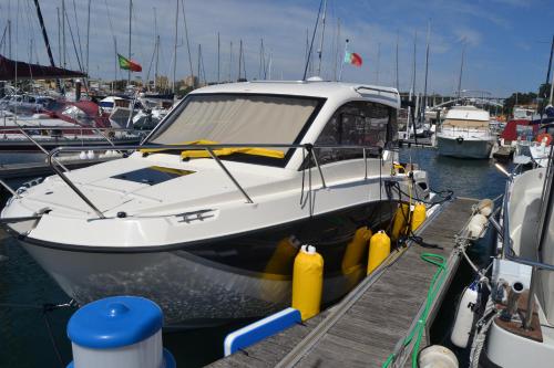  Shell Boats in Vila Nova de Gaia