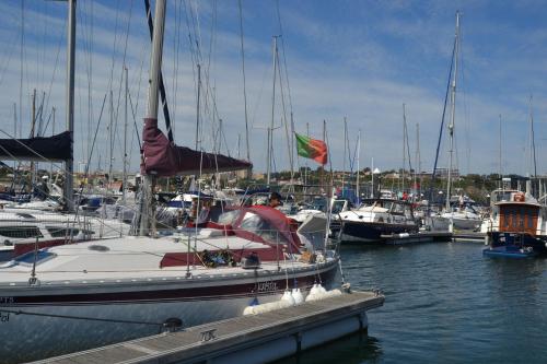  Shell Boats in Vila Nova de Gaia
