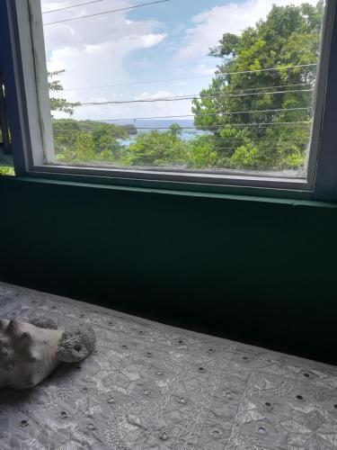 TOGA GUEST HOUSE – Port Antonio