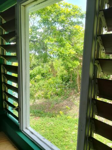 TOGA GUEST HOUSE – Port Antonio