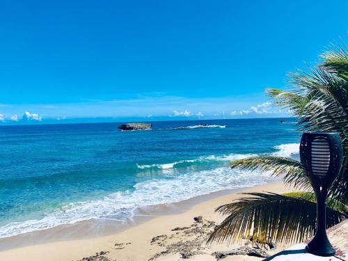 Ventana al Atlantico Boutique Hotel - image 8