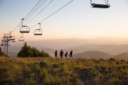 Grand Summit G540 - image 9