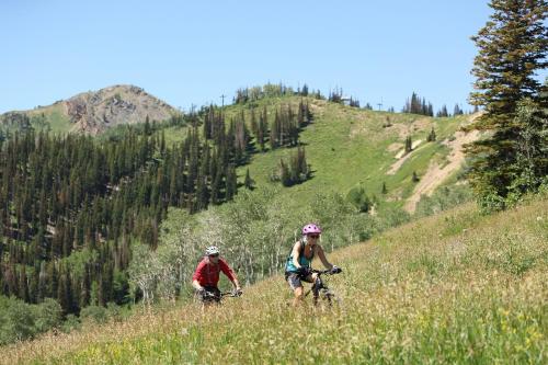 Grand Summit G459 - image 4
