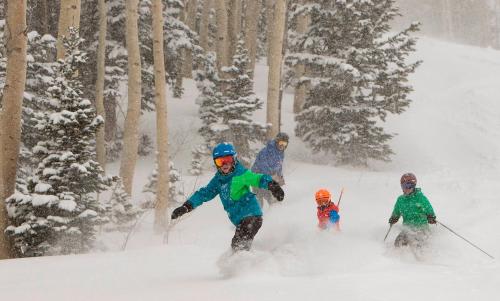 Grand Summit G506 - image 6