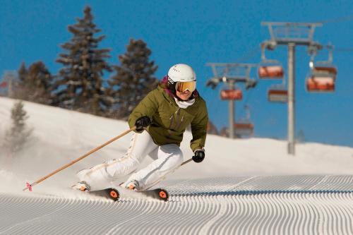 Grand Summit G506 - image 8