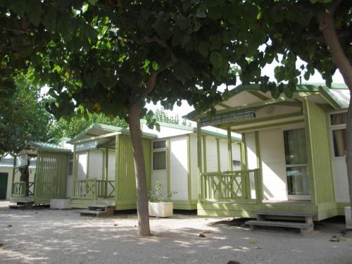 Camping Ole