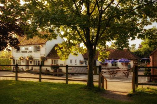 The White Lion Soberton - image 14
