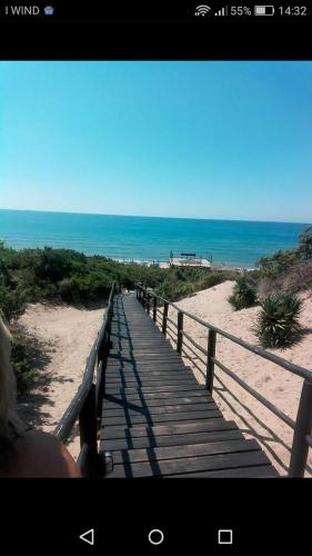 APPARTAMENTO in seminterrato PALMAROLA in Sabaudia