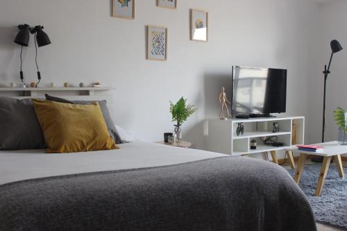 . Bright & Cozy Apart near City Center, Caballito