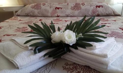  CENTRAL ROOM with private bathroom, no smoking, Pension in Palau