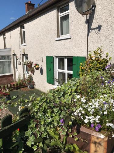 Jacksonville Cottages, , County Antrim