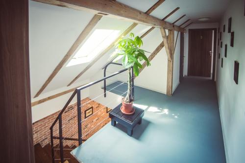 티미쇼아라 TimHouse 3성급 호텔 부대시설