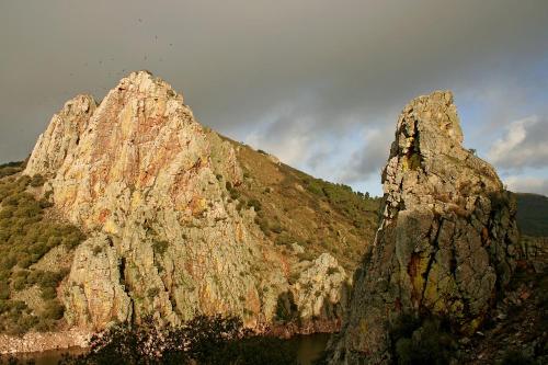 Bungalows Camping Parque Nacional de Monfragüe - Hotel - Malpartida de Plasencia