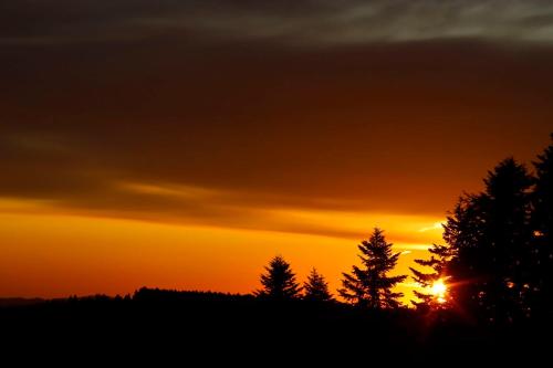 Gite Jasserie de Paley 3* alt. 1150 m 8 pers. gîte à louer Sauvain