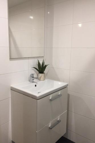 Central sweet BNB, Amsterdam (photo 8)