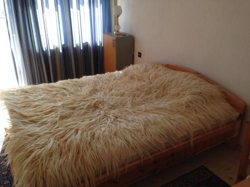 Katya Guest House - image 11
