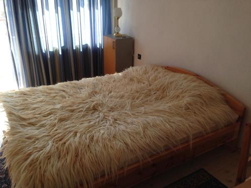 Katya Guest House - main image