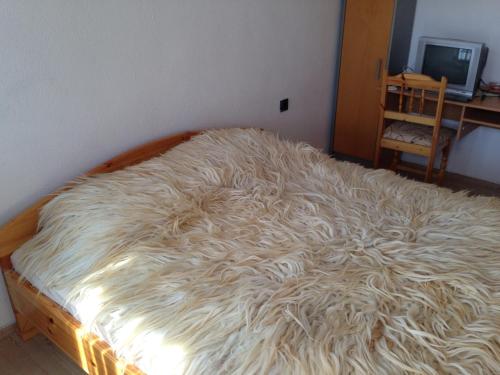Katya Guest House - image 14