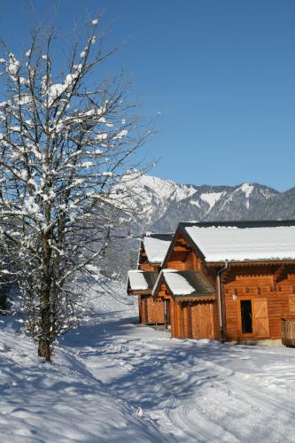 Résidence Néméa Les Chalets du Bois de Champelle - image 11