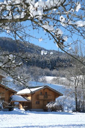 Résidence Néméa Les Chalets du Bois de Champelle - image 13