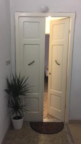  My Place in Olbia