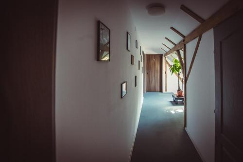 티미쇼아라 TimHouse 3성급 호텔 전망