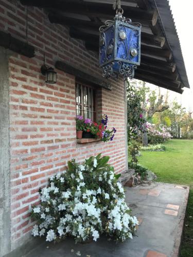 Las Azaleas Yala