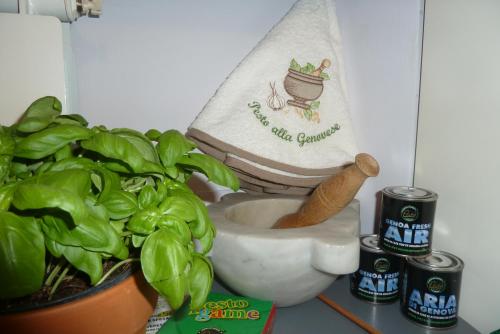 Pesto Guest House, Janov (fotografie 10)