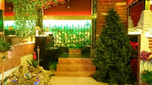 Activiteiten, Rimini Club Hotel in Shumen