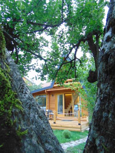Apple House