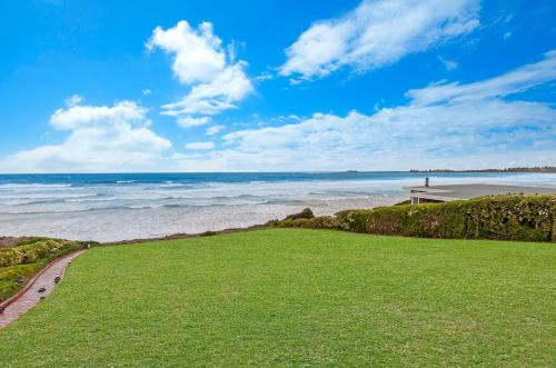 Iluka, Port Fairy (zdjęcie 9)
